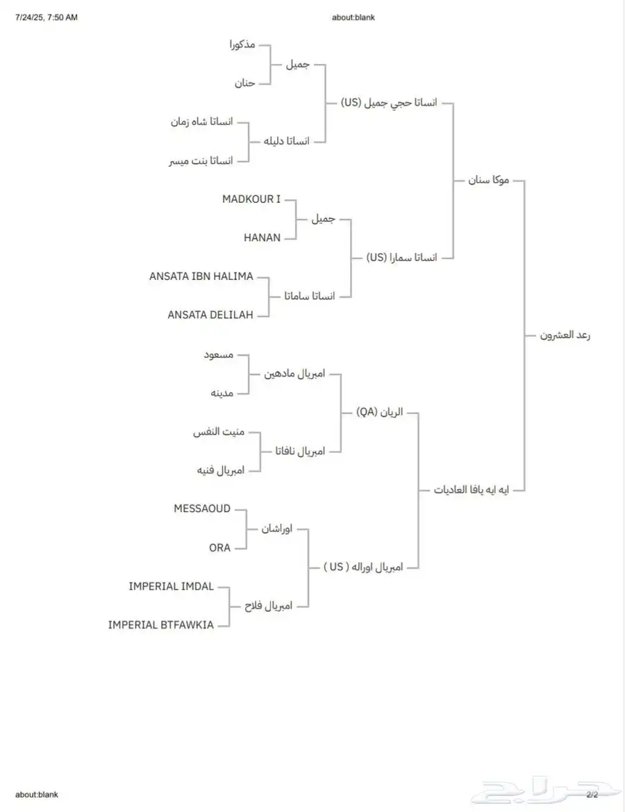 حصان واهو مصري بيور 11