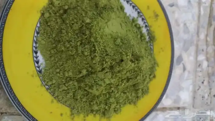 حناء ضواحي ينبع المدينه 3