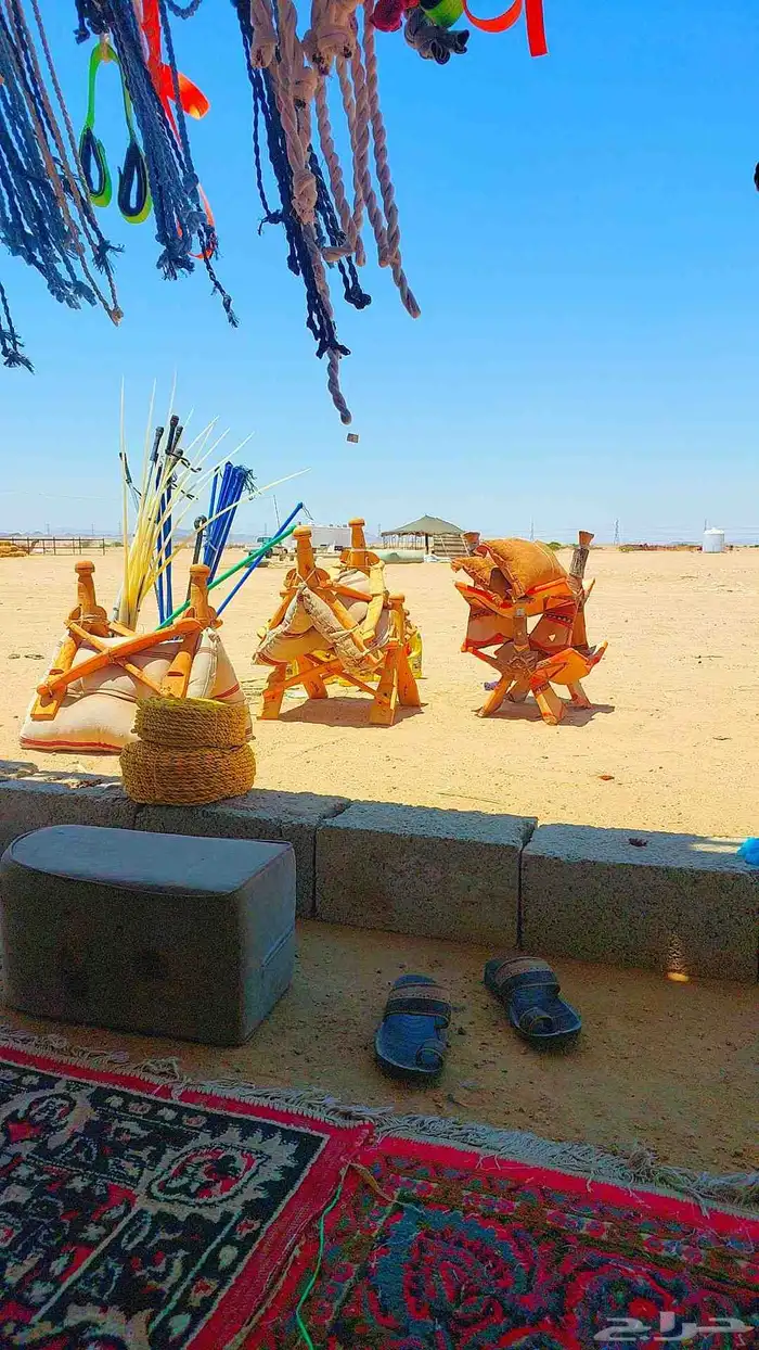 شمل وجنايب 0