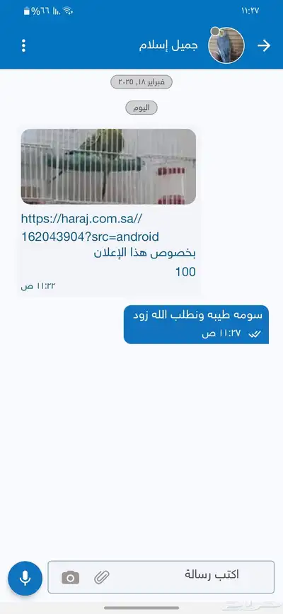 جوز بادجي منتج مشروط مع فرخ 1