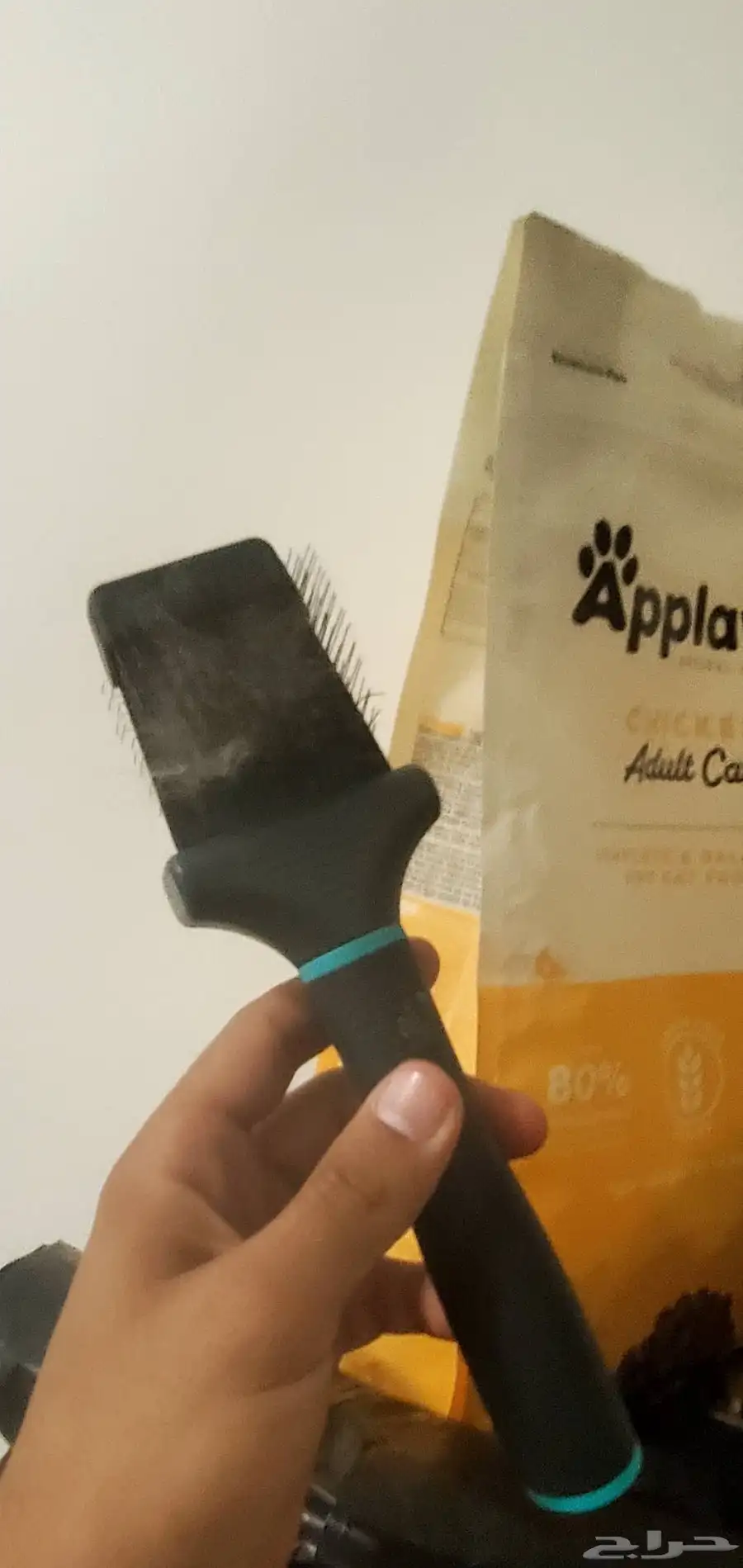 جميع مستلزمات القطط للبيع مستخدم 6