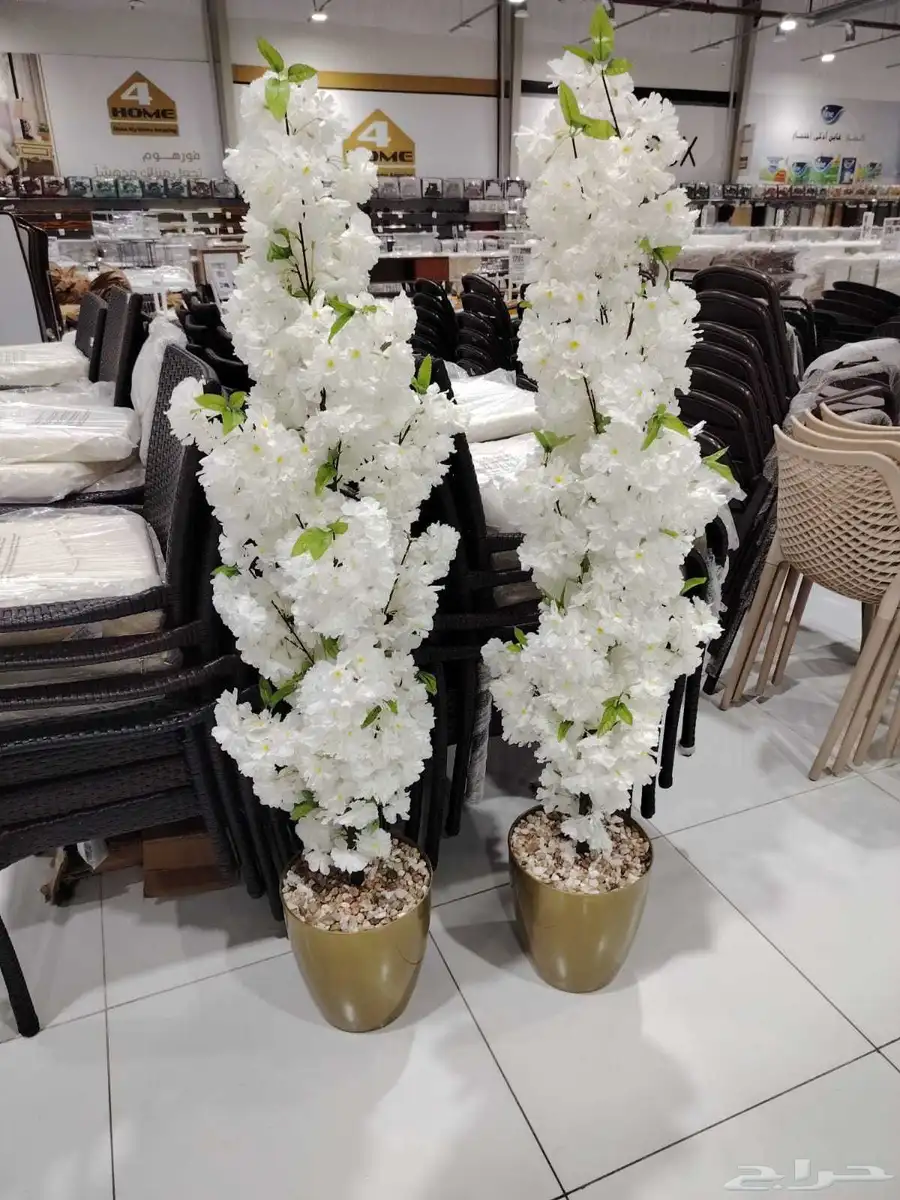 أشجار زينه بيع بي الجمله وتجزه 4