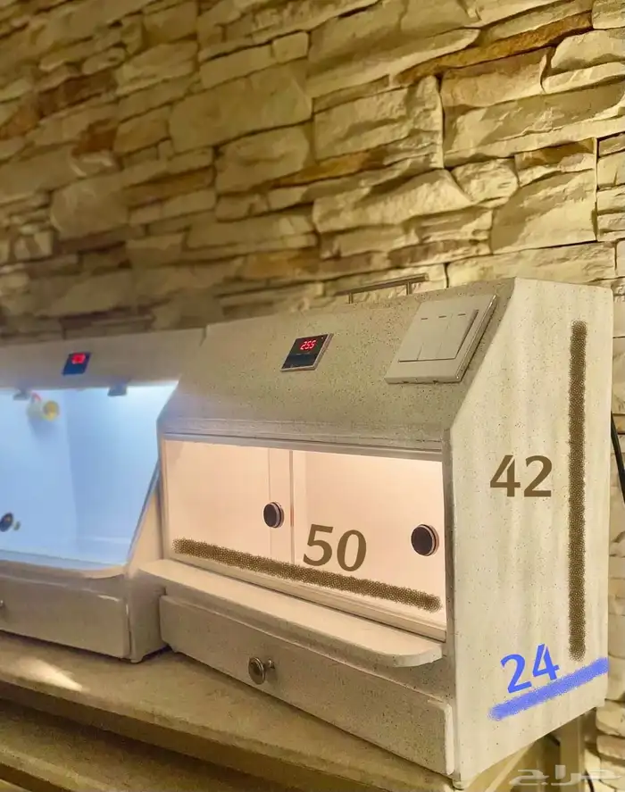 حاضنه الكترونيه 10