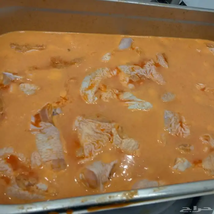 ملعم بروستد سندوتشات كودو برجرات يمني لدي خبره اكثر من 10سنة 2