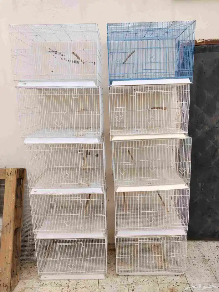 أقفاص مستخدمة مقاس 601 0