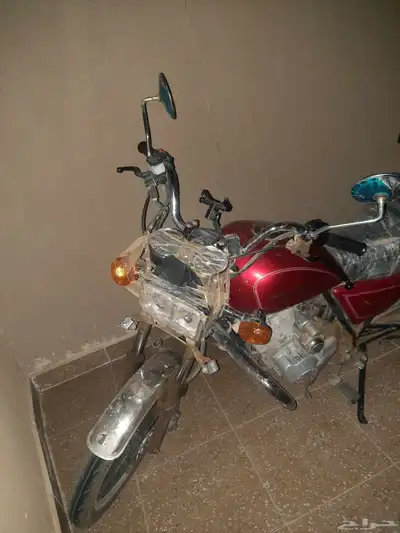 دباب 2024 1