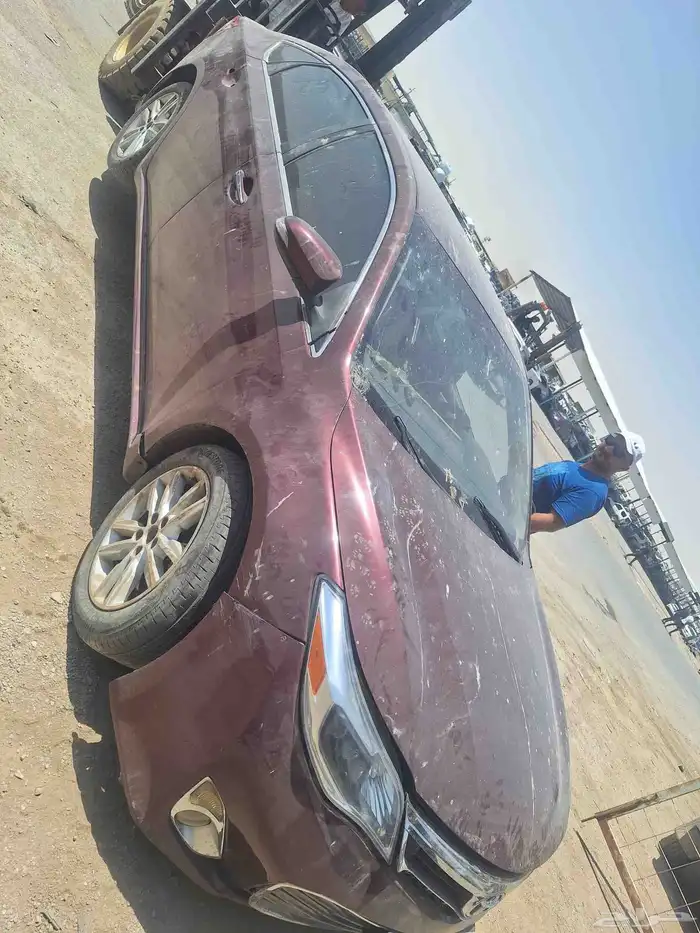 افلون 2014 3