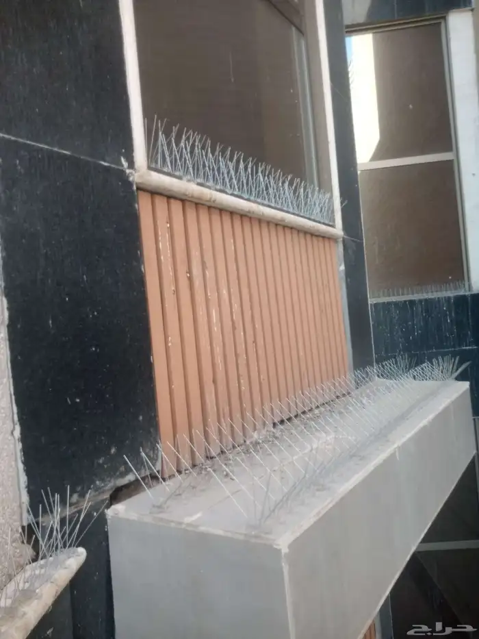 حمام شوق الطيور دبوس ما تركيب المدينه المنوره 5
