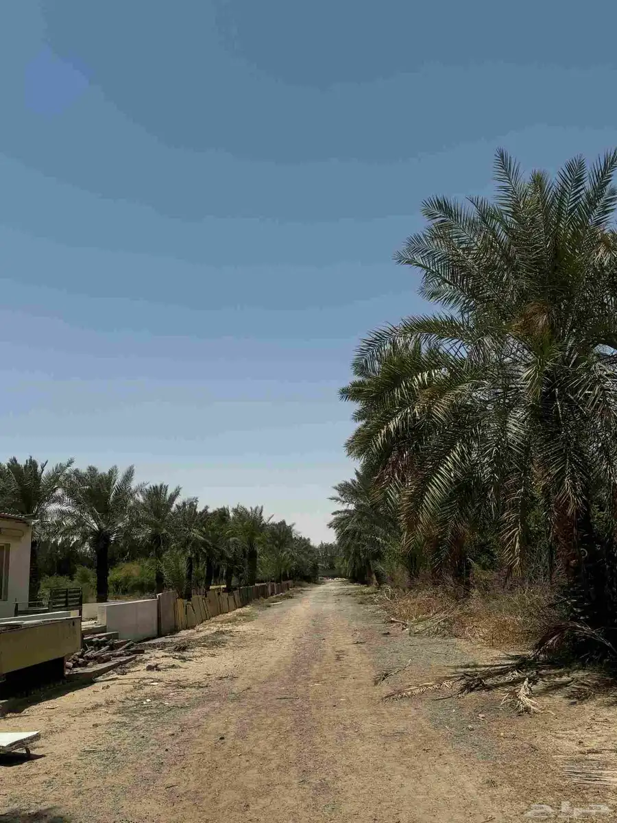 ارض زراعي للبيع الجبيل الصناعيه 1