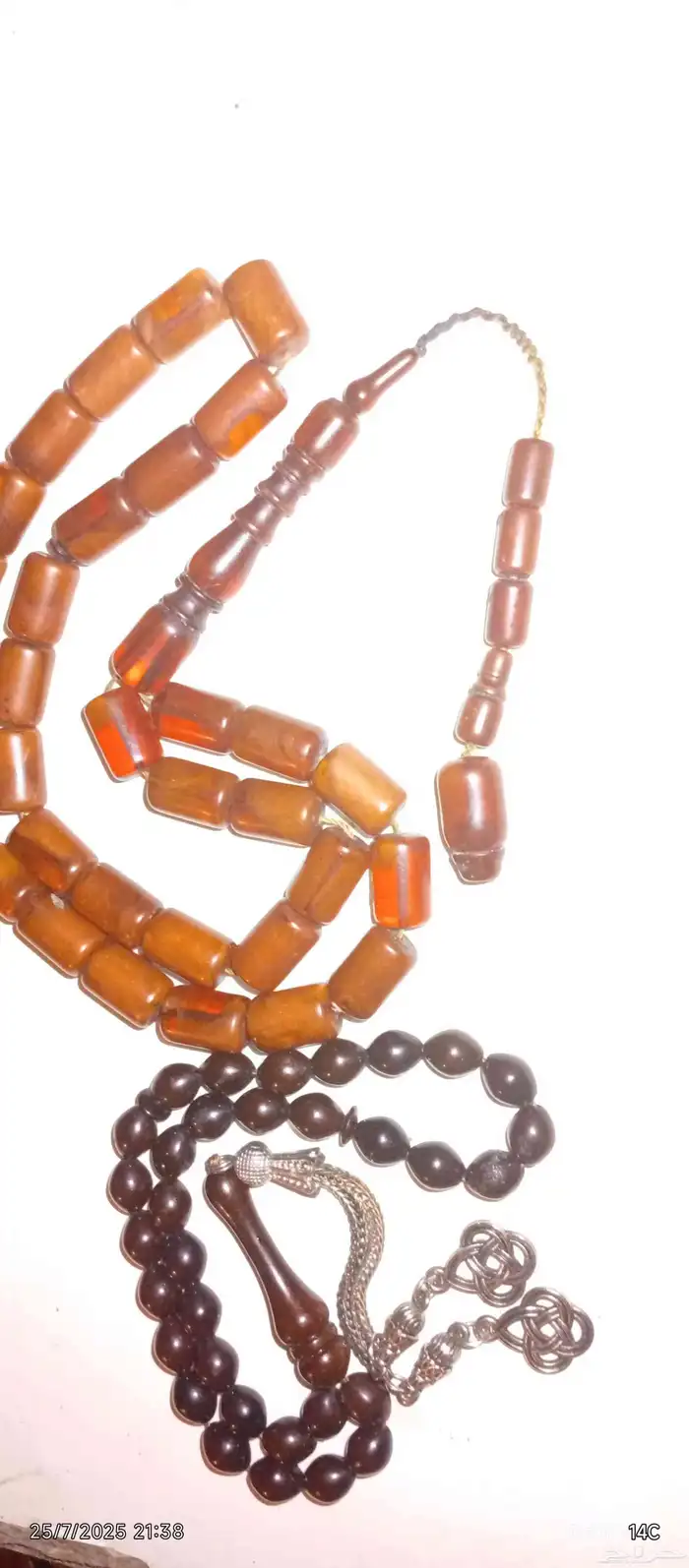 الأحساء مسباحين بوني محروق وبوني فاتح على السوم 0
