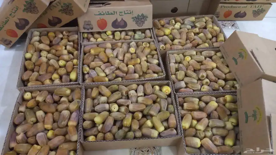 رطب متلبن جديد جني اليوم طيب جدا 2