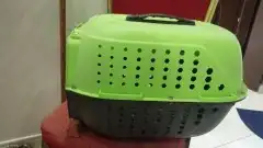 بيت القط 2