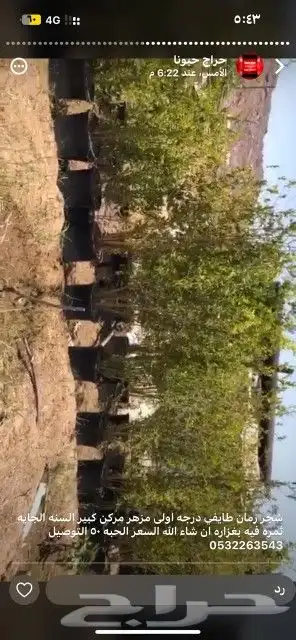 رمان طايفي درجه اولى 1