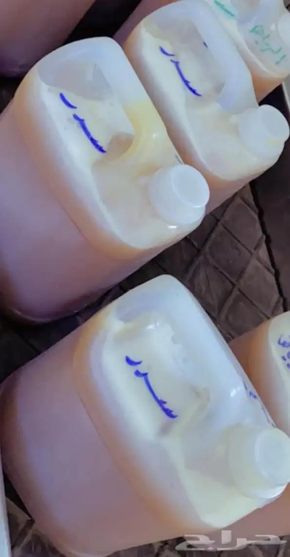 عسل سدر يمني سمره دوعني يمني با انواعه 2