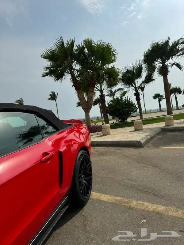 فورد موستنج GT 2011 كشف 8 سرندل للبيع او البدل المناسب 5