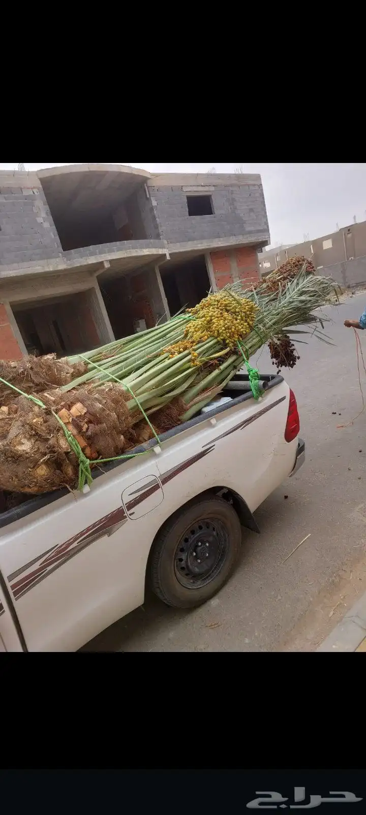 يوجد لدينا جميع انواع إنخل عربي ووشنطني جميع المقاسات متوفره 5