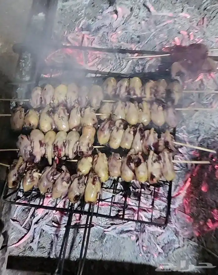 شبك حرير مربط 0