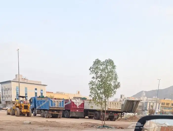 شيول قلابات لايجار يومي أو شهري 0