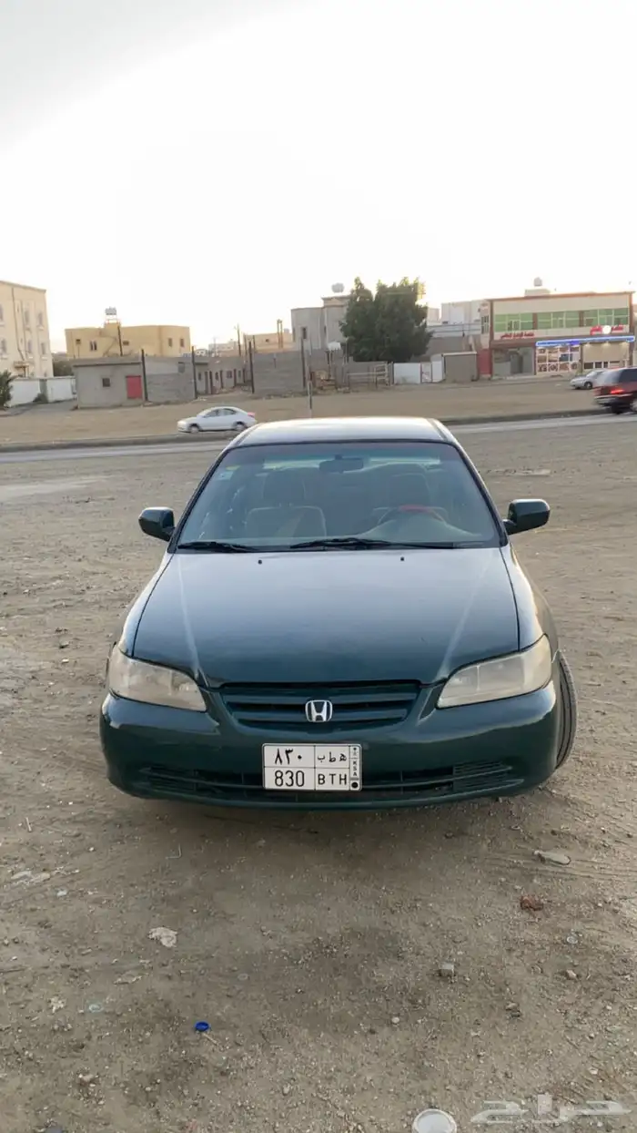 هونداء اكوررد 2001 1