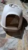 بيت القط 0