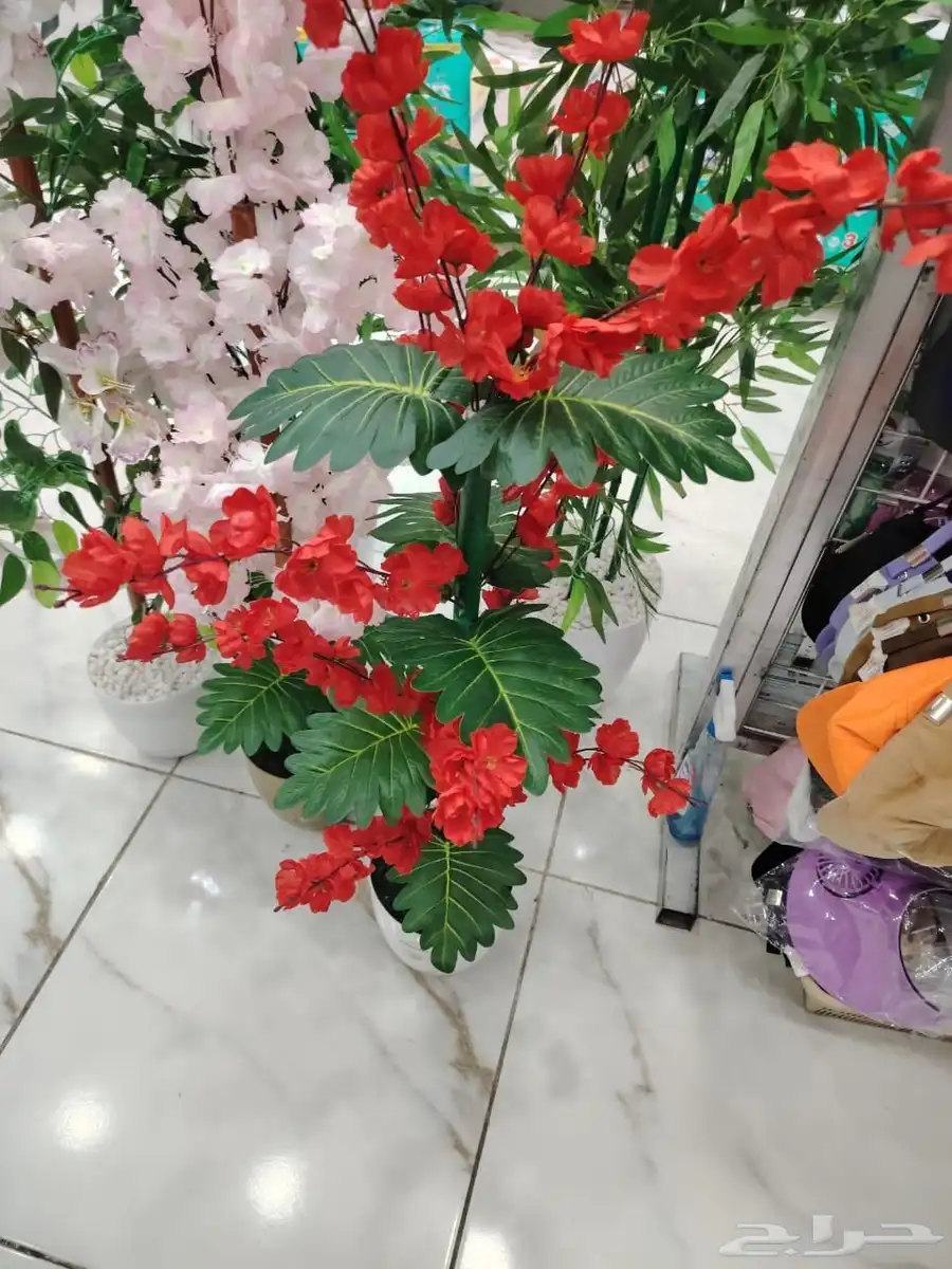 أشجار زينه بيع بي الجمله وتجزه 0