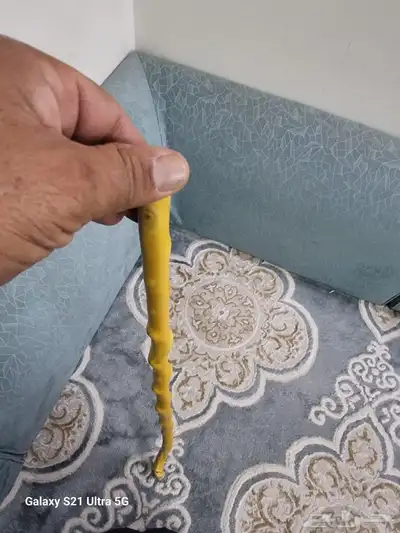 عصا شوحط مميزه جدا للبيع 7