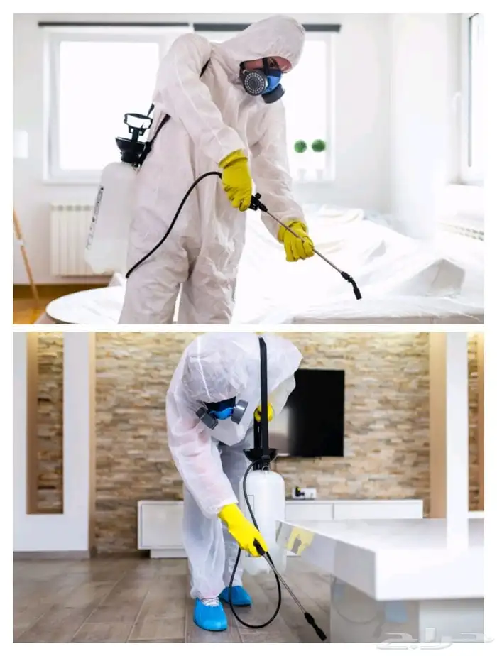 شركة مكافحة الحشرات والقوارض بالدمام والخبر بالمنطقه الشرقيه 4