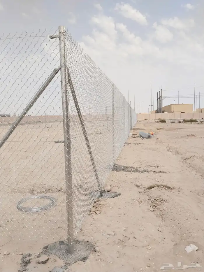 شبوك مزرع ونخيل عربي و شنطونيا 2