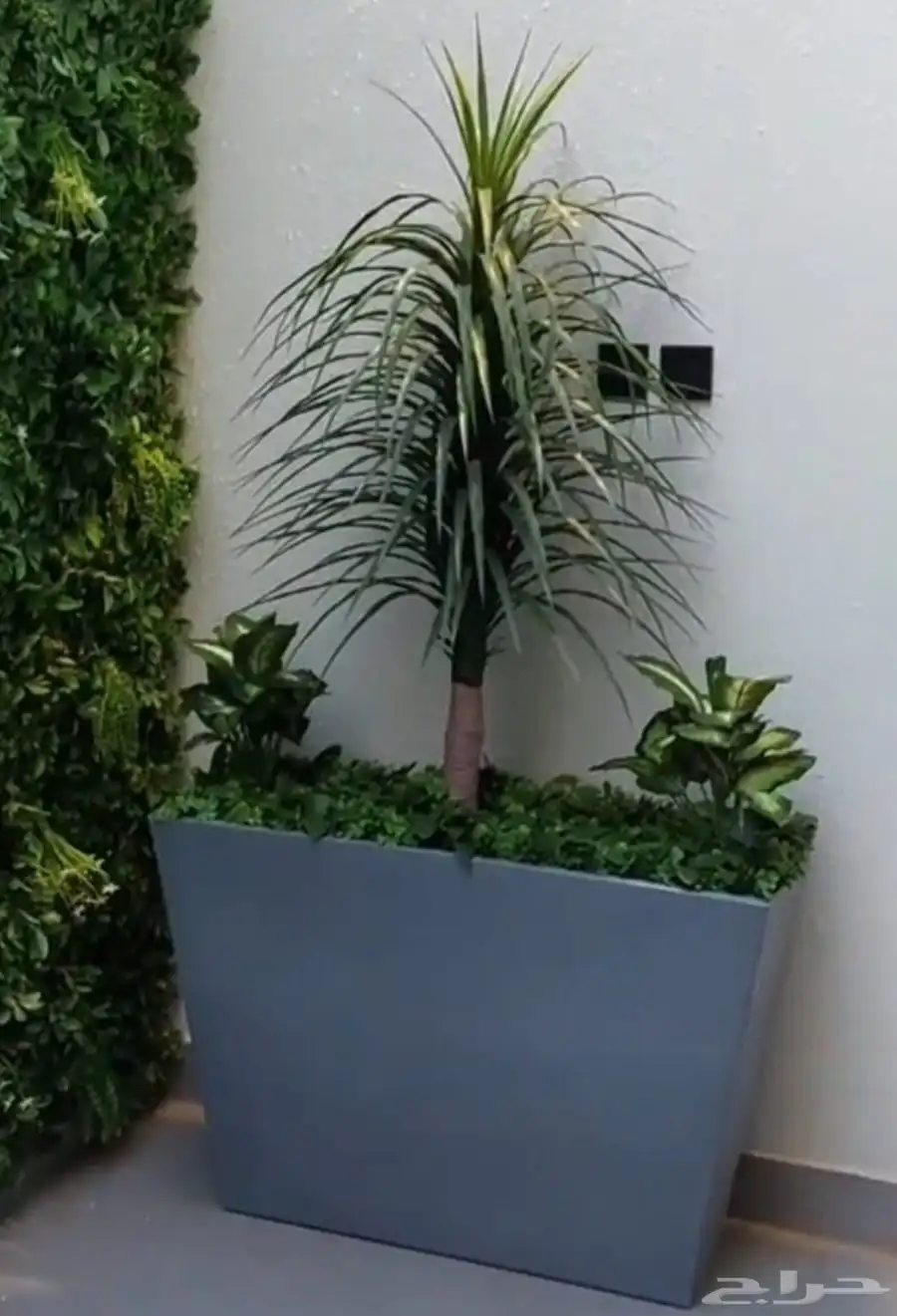 مراكن _مركن _ احواض _ حوض اصيص زراعي كبير 1