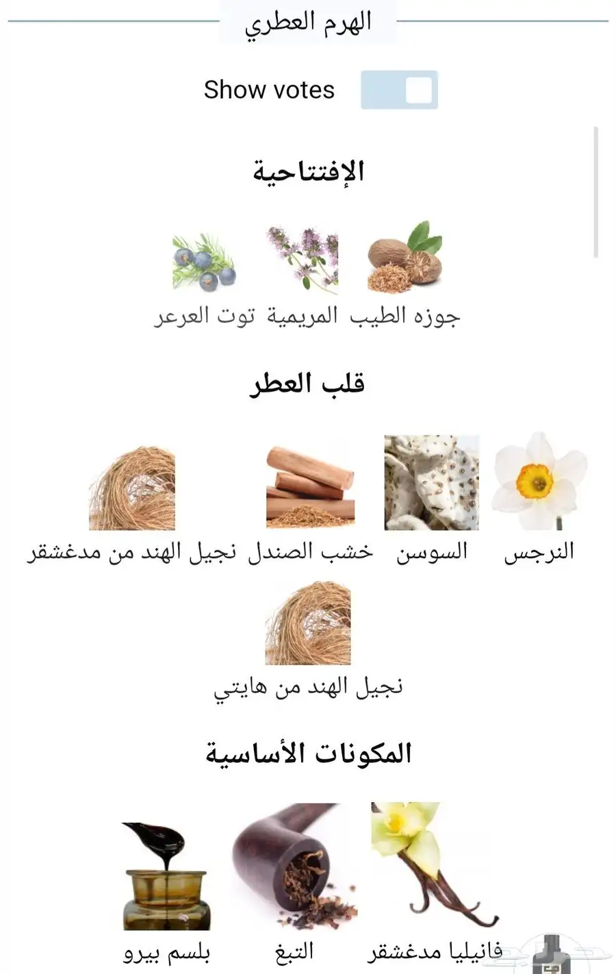 لعشاق العطور الفخمة - جنتل مان سوسيتي أمبري من دافينشي 2