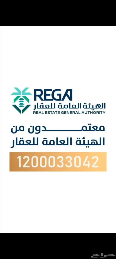 موشن جرافيك 5