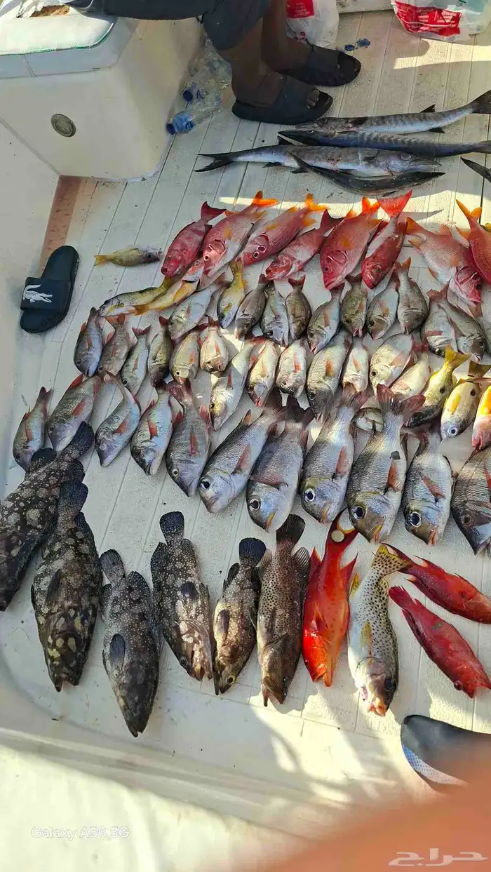 رحلات بحريه 2