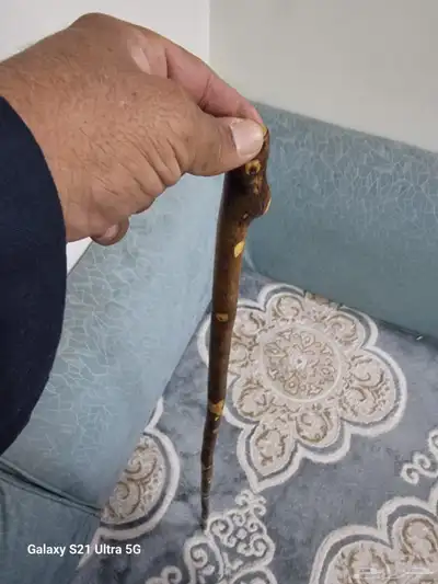 عصا عتم ( تم البيع ) 0