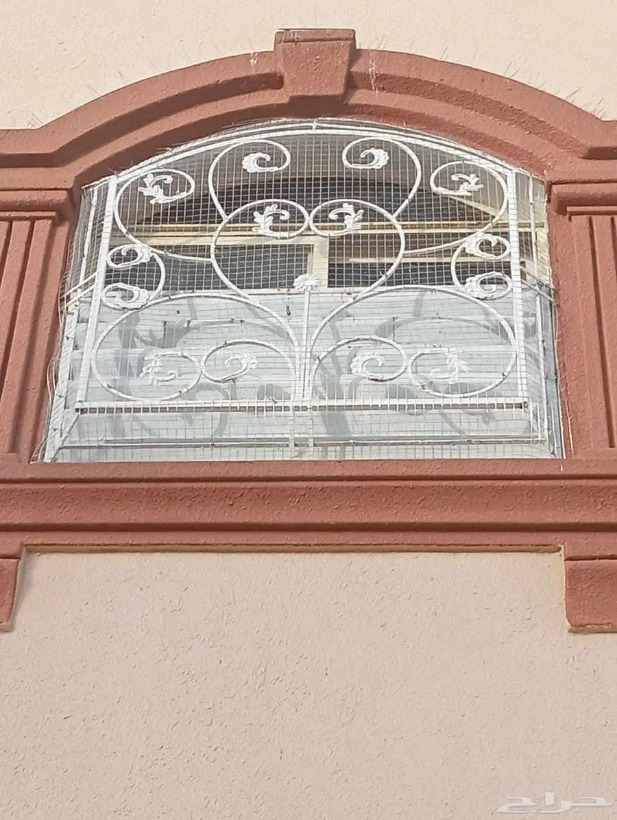 شركه تركيب طارد للحمام بنجران 1