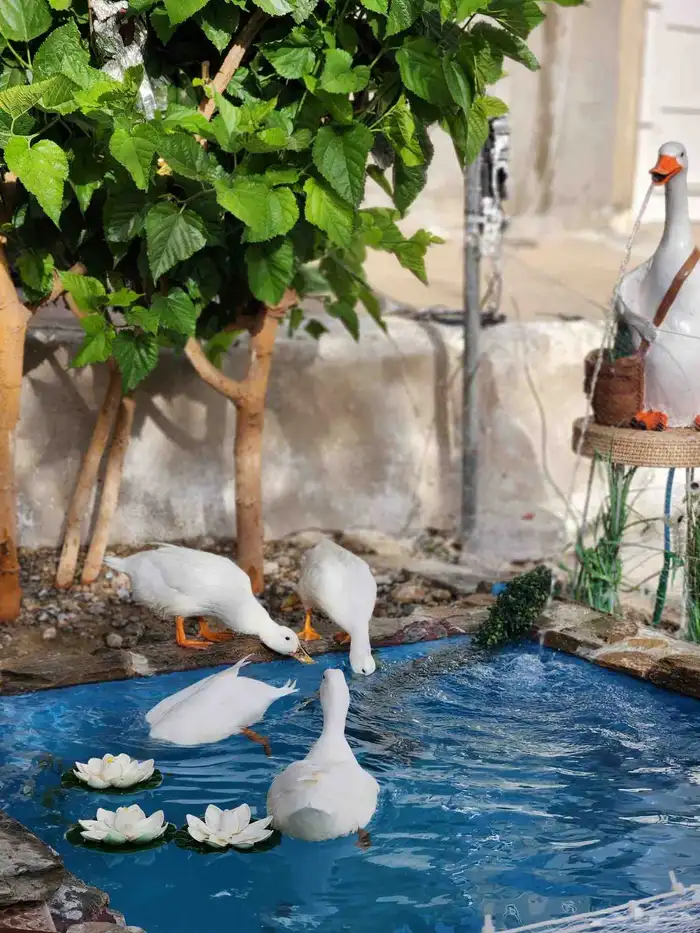 بط بكيني منتج 1