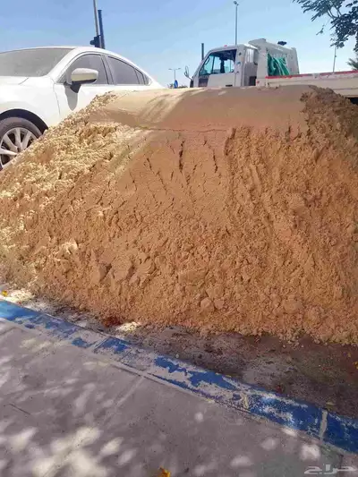 ابحر الشماليه. جده 8