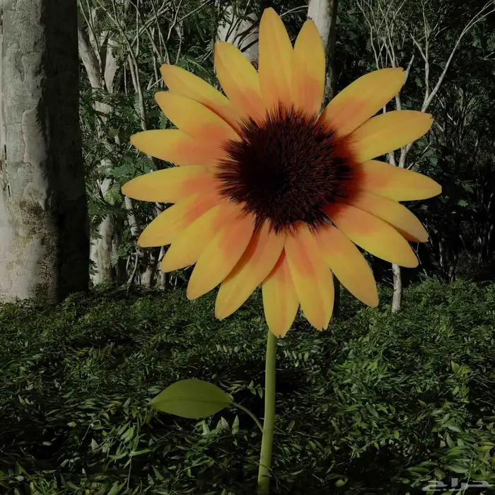 تصميم 3d بوثات او موديلات 5