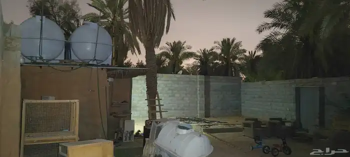 حوش لتقبيل 0