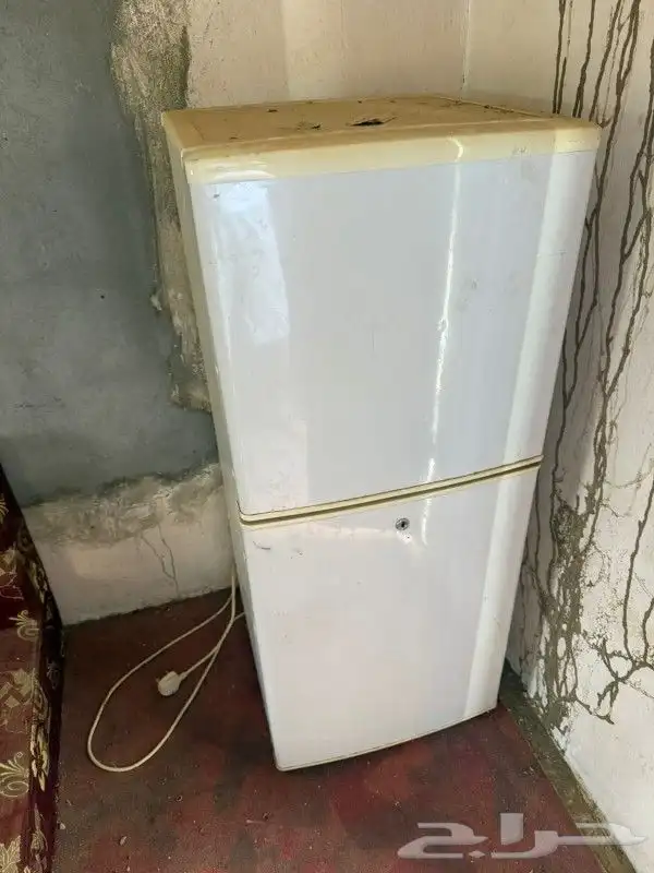 ثلاجه على الشرط 1