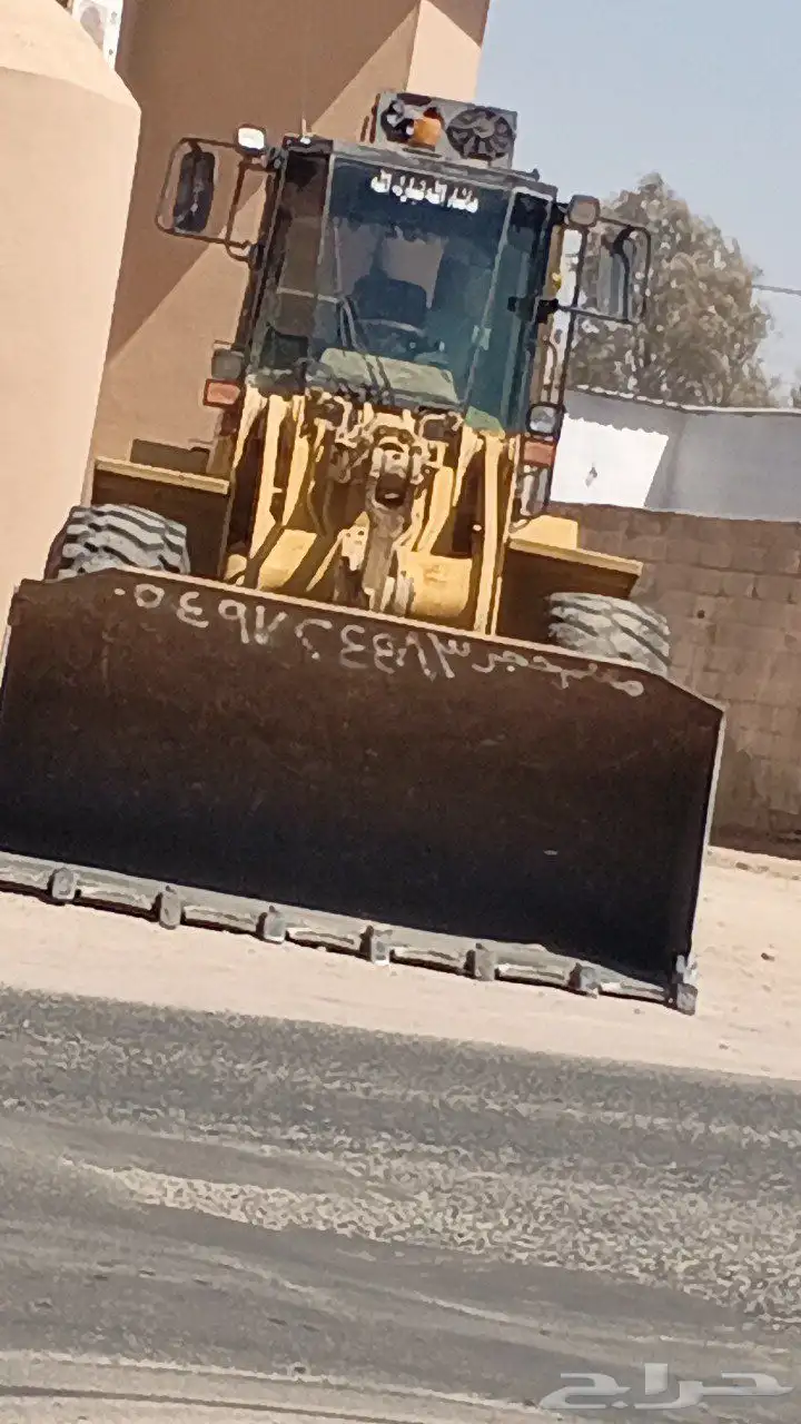 شيول للايجار الشهري واليومي والاسبوعي الموقع الطائف السيل ال 0