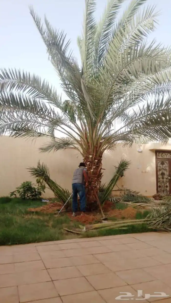 تسوير الاراضي بالشبك 9