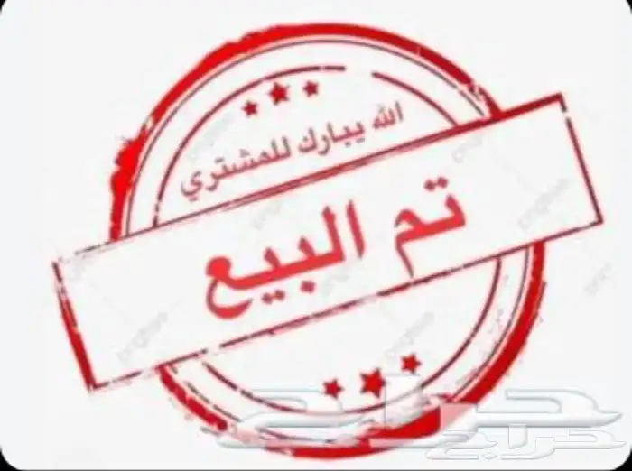 صيصان بلدي للبيع 0