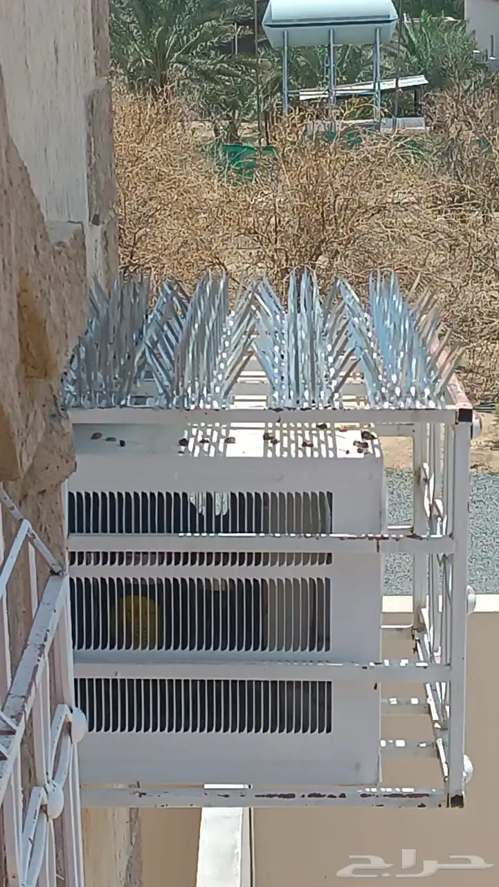 شركه تركيب طارد للحمام بنجران 6