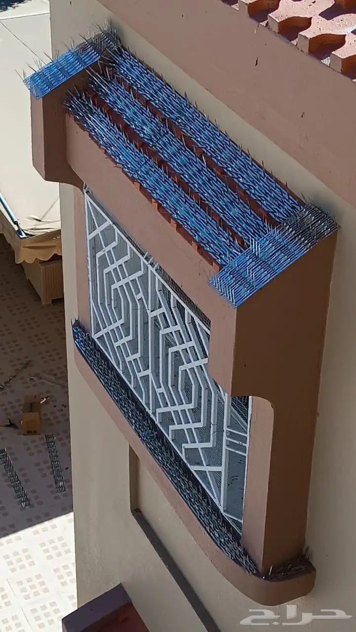 شركه تركيب طارد للحمام بنجران 4