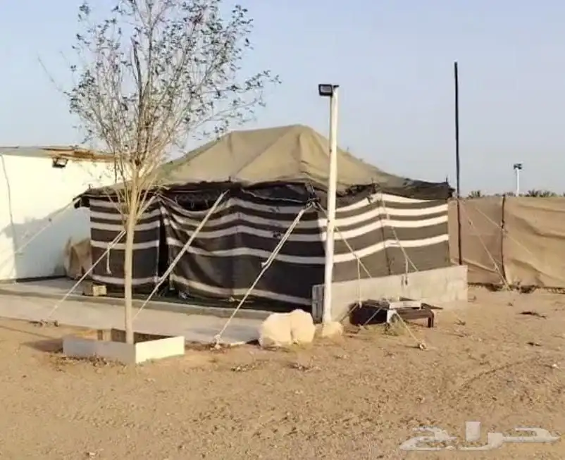بيت شعر مع عازل مطر شبه نضيف 0