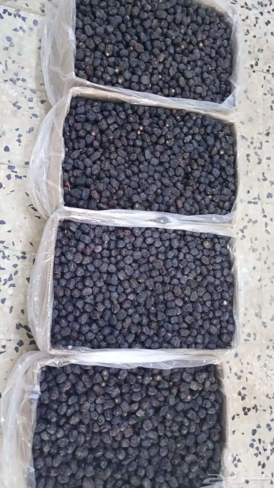 عجوة سعر 8 ريال 0