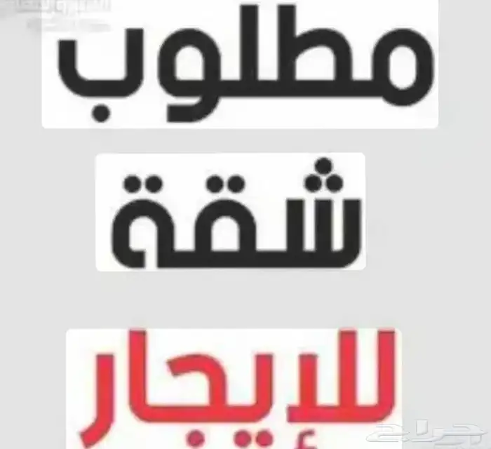 مطلوب شقة في حي المعيزيلة الجنادرية النظيم 0