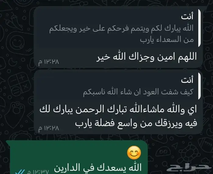 عود مروكي والكلمنتان التايقر بأسعار مناسبة 9