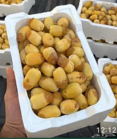 رطب خلاص فاخر 0