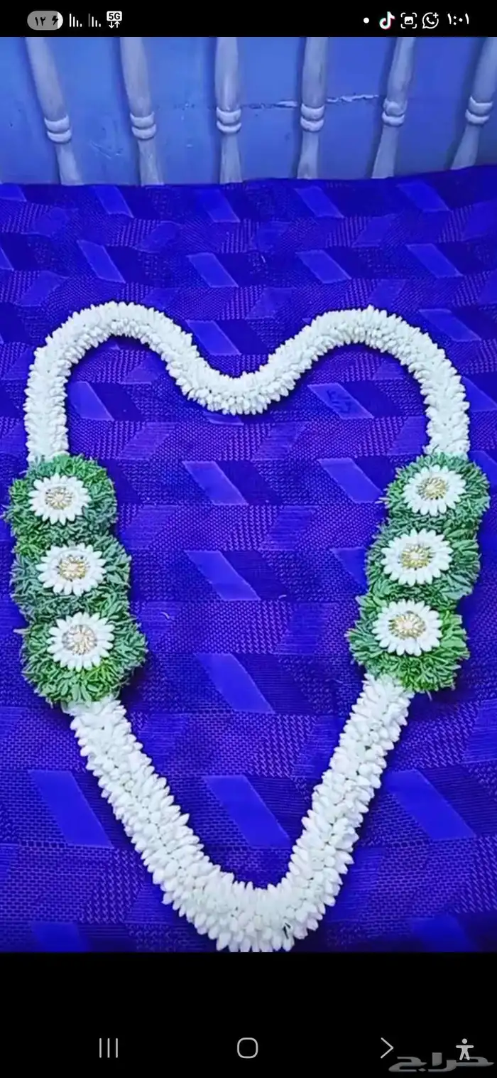 عقود الفل بي أشكالها حي الصفا 1